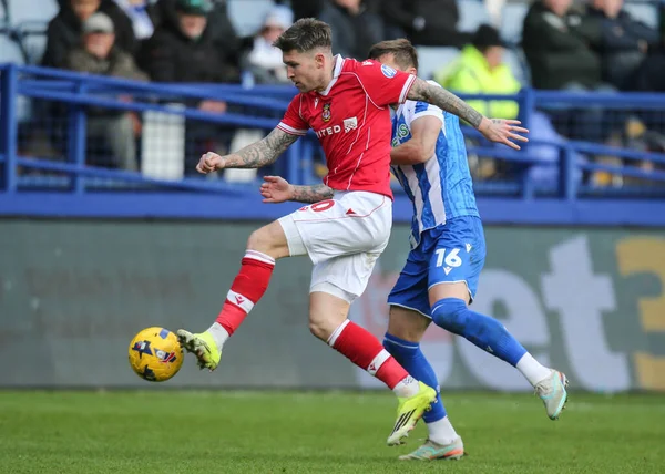Wrexham 'dan Josh Windass 31 Ocak 2026' da İngiltere, Hillsborough 'da Sheffield Wednesday-Wrexham maçında sahada.