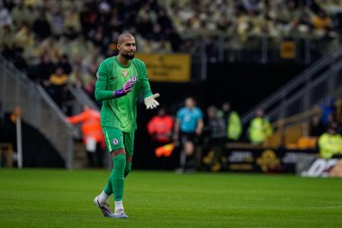 Chelsea kalecisi Robert Sanchez, 7 Şubat 2026 tarihinde İngiltere 'nin Wolverhampton kentinde oynanan Premier League maçında Chelsea' ye karşı Wolverhampton Wanderers maçında gol atan Chelsea kalecisi Cole Palmer 'ı kutluyor.