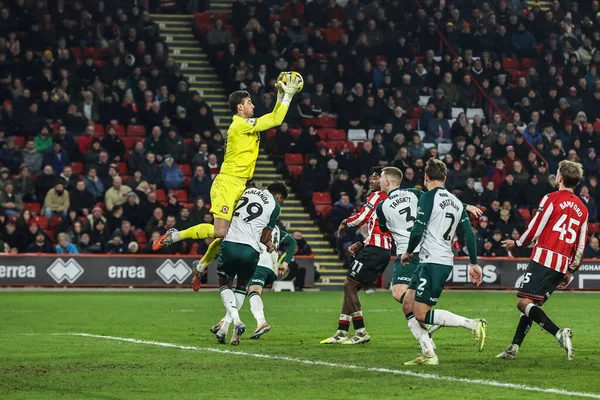 Middlesbrough kalecisi Sol Brynn, 9 Şubat 2026 tarihinde İngiltere 'nin Sheffield Lane kentindeki Bramall Lane' de oynanan Gökyüzü İddia Şampiyonası maçında yüksek topu kazanmak için sıçradı.