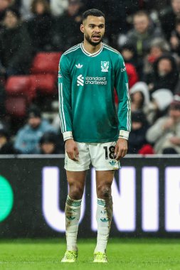 Liverpool 'dan Cody Gakpo 11 Şubat 2026' da İngiltere 'nin Sunderland kentinde Liverpool' a karşı oynanan Premier Lig karşılaşmasında