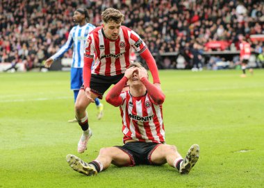 Sheffield United takımından Sydie Peck, 22 Şubat 2026 tarihinde Sheffield, İngiltere 'deki Bramall Lane' de Sheffield United maçında tepki gösterdi.