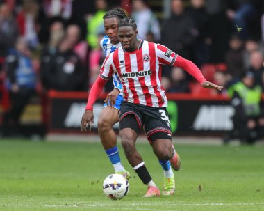 Sheffield United takımından Femi Seriki, 22 Şubat 2026 tarihinde Sheffield, İngiltere 'deki Bramall Lane' de Sheffield United maçında Sheffield United ile karşı karşıya geldi.