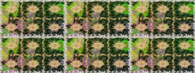 Çiçek deseni. Duvar kâğıdı barok, İspanyol kumaşı. Kusursuz raster arka plan. Kahverengi ve bej renklerde altın elementler. Şekil grafik deseni.