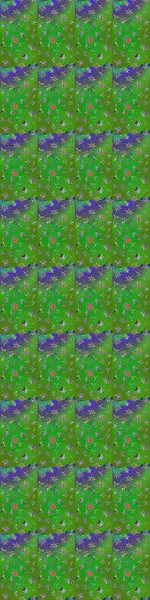 Elle boyanmış suluboya resim çizimleri, çiçekler ve bitkiler. Renkli çiçekler.