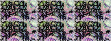 Raster illüstrasyonu. Suluboya stilinde siyah ve nötr renklerde. Pürüzsüz bahar deseni ve küçük çiçekler.