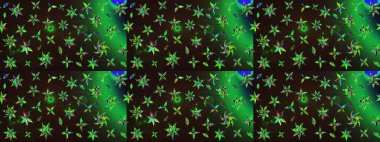 Suluboya çizim kalıbı. Dekorasyon ve tasarım için güzel bir desen. Moda baskısı. Çiçeğin suluboya çizimlerinin mükemmel deseni. Eski model. Raster illüstrasyonu.