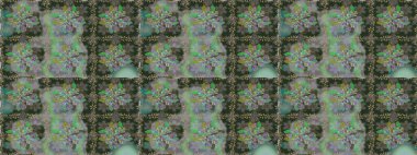 Raster Henna dövme stili. Etnik Mandala süsü. Kızılderili desenli desenli desenli şal deseni. Tekstil, tebrik kartı, boyama kitabı, telefon kılıfı baskısı için kullanılabilir.