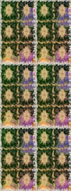 Çiçek deseni. Duvar kâğıdı barok, İspanyol kumaşı. Kusursuz raster arka plan. Kahverengi ve bej renklerde altın elementler. Şekil grafik deseni.