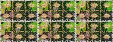 Çiçek deseni. Duvar kâğıdı barok, İspanyol kumaşı. Kusursuz raster arka plan. Kahverengi ve bej renklerde altın elementler. Şekil grafik deseni.