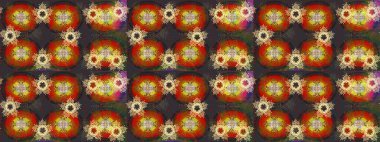 Güzel bir kış süsü. Raster grisi, kahverengi ve kırmızı kar tanelerinden izole edilmiş. Renkli kar taneleri Raster illüstrasyonu.