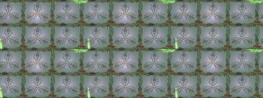 Tarafsız, yeşil ve gri renkte çiçeklerle çizilmiş çiçek deseni. Tarafsız, yeşil ve gri renkteki çiçekler suluboya stilinde.