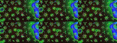 Çiçekli karalama şeklinde Raster çiçek deseni. Yumuşak, yaz çiçekli arka plan. Yeşil ve gri renkte çiçekler.