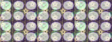 Çiçek kompozisyonu, el boyası, hassas şablon. Sevgililer günü ve tebrik kartı konsepti için şık bir davetiye. Üst manzara, yumuşak stil. Gri, mor ve nötr renkler üzerine manzaralı çiçek deseni.