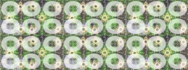 Gri, nötr ve yeşil renklerde izole edilmiş. Kar Tanesi Raster illüstrasyonu. Kar Tanesi Simgesi. Kış kar taneleri.