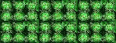 Kar taneleri koleksiyonu. Raster yeşili, gri ve nötr kar tanelerinden izole edilmiş. Raster illüstrasyonu. Güzel kış süsleri..