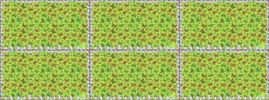 Yeşil renkli resimler. Raster. Şirin kelebeklerin kusursuz desenleri. Moda Kumaşı Tasarımı. El çizimi illüstrasyon.
