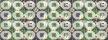 Renkli arka planda izole kar taneleri. Kış kar tanesi, raster arka plan. Yüzey için tekrarlanan doku, ambalaj kağıdı, gri, nötr ve yeşil renkler. Raster illüstrasyonu.