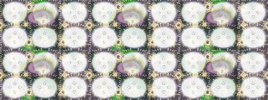 Renkli arka plan üzerinde izole sevimli kar taneleri. Raster resim. Soyut mandala veya kaprisli kar tanesi hat sanat tasarım.