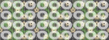 Çiçekli, kusursuz bir arkaplan. Renkli Bahar Temalı Kusursuz Arkaplan. Çocuk stili. Düz Çiçek Elementleri Tasarımı.