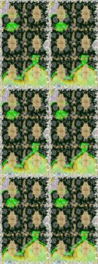 Şık bir grafik desen. Duvar kâğıdı barok, İspanyol kumaşı. Çiçek deseni. Kahverengi ve bej renklerde altın elementler. Kusursuz raster arkaplanı.