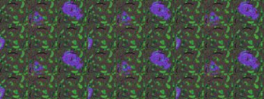 Flat Flower Elements Design. Colour Spring Theme sketch pattern Background. Flowers on green, gray and brown colors. Floral sketch pattern background, summer flowers.