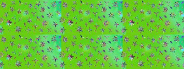 Taslak dekoratif arka plan, çiçek mandala. Çiçek. Yeşil ve mavi renklerde. Raster illüstrasyonu.