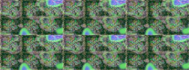 Yeşil ve gri kıvırcık çiçekler yeşil ve gri renkte şekillenir. Raster illüstrasyonu. Klasik çiçek tasarım elementleri.