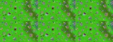 Raster illüstrasyonu. Raster illüstrasyonu. Yeşil ve mavi renkte çiçekler. Çiçek desenli çizim. Asya tekstil tarzında.