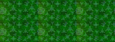 Zarif, parlak ve eskiz yeşil, mavi ve gri çiçek desenli tasarım. Sabıka baskıları, bebek kıyafetleri, duvar kâğıtları, paket kutuları vb..