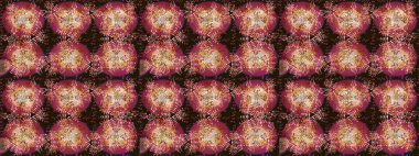 Kış kahverengisi, kırmızı ve bej rengi kar beyazı kristal element. Kar tanesi raster arka planı. Meteoroloji buz koleksiyonu. Xmas Frost kar taneleri izole edilmiş siluet sembolü. Raster illüstrasyonu