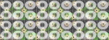 Parlak dantel, stilize çiçekler, şal desenli. Altın desenli bukleler çiz. Hassas altın deseni açın. Gri üzerine eskiz deseni, altın elementli yeşil renk. Raster. Doğu tarzı arabesk.