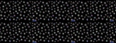 Eskiz arkaplan modeli. Vadinin çiçekleri siyah renklerde. Suluboya, elle çizilmiş. Raster - stok.