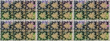 Gri renkli ve altın elementli geleneksel altın sarısı desen. Barok tarzında kusursuz bir doğulu süsü..