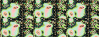 Çiçek deseni. Düz Çiçek Elementleri Tasarımı. Raster illüstrasyonu. Kusursuz Chichi kumaş deseni. Renkli Bahar Teması Kusursuz Arkaplan.