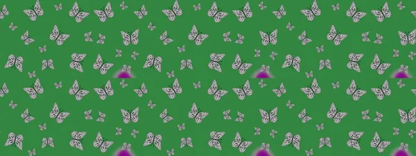 Kelebek yineleme dokusunun güzel çizimi karşıtlık katmanında izole edilmiş. Doğa kelebeği temayı yeşil ve gri renklerle tekrarlıyor. Korunmak için vahşi yaşam böcekleri için arka plan. Raster illüstrasyonu.