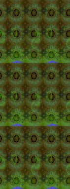 Raster floral pattern in doodle style with flowers. Gentle, cute floral background. Flowers on green and gray colors.