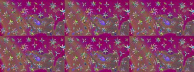 Tekstil tasarımı için mor ve kahverengi renkli geleneksel halk çiçekleri. Üzerinde gelincikler ve vadi zambakları olan renkli çiçek desenli nakış..