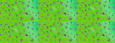 Eskiz klasiği. Raster Şirin kumaş deseni. Renkli Bahar Teması eskiz kalıbı. Düz Çiçek Elementleri Tasarımı.