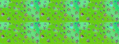 Kartlar, davetiyeler, tarih kartları ve daha fazlası için kullanılabilir. Büyük bir çiçek boyası seti. Raster şirin suluboya çiçek deseni çizimi.