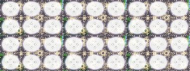 Klasik Raster çizimi, nötr, bej, gri ve altın desenli. Geleneksel oryantasyon süsü. Klasik vintage arkaplan.