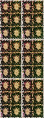 Duvar kâğıdı barok, İspanyol kumaşı. Kusursuz raster arka plan. Çiçek deseni. Şık bir grafik desen. Kahverengi ve bej renklerdeki altın elementler.