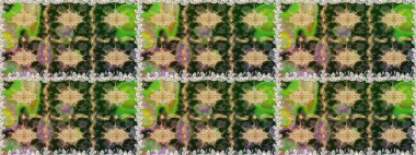 Kahverengi ve bej renklerde altın elementler. Çiçek deseni. Şık bir grafik desen. Kusursuz raster arka plan. Duvar kâğıdı barok, İspanyol kumaşı.