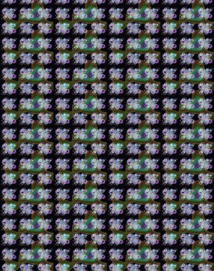 Şirin çiçek elementleri. Raster illüstrasyonu. Siyah ve yeşil renkli çiçekler. Çizim.