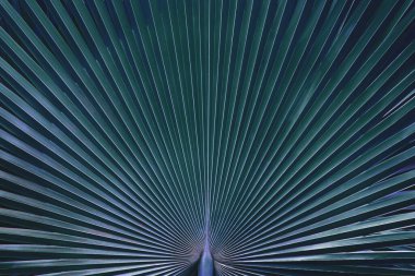 Mavi Tonlu Tropikal Palmiye Yaprağı Doğal Arkaplan