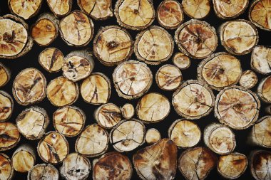 Arkaplan Odun Damlaları Yığını