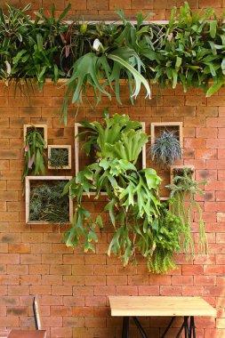 Dikey Bahçe ve Yemek Masası