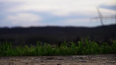 Botları olan, çamurlu su birikintilerini yavaş çekimde, bulanık arka planda ezen kadın izleyiciyi kapat..