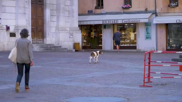 Аннесі Франція Травня 2021 Вулиця Французького Старого Міста Аннесі Собакою — стокове відео