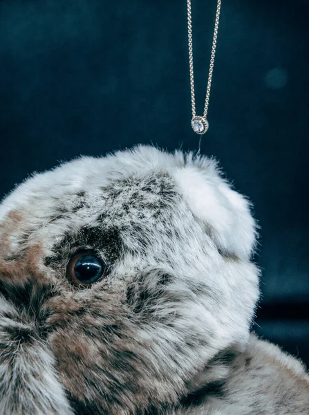 Plüschhase Mit Schmuck Auf Dunklem Hintergrund — Stockfoto