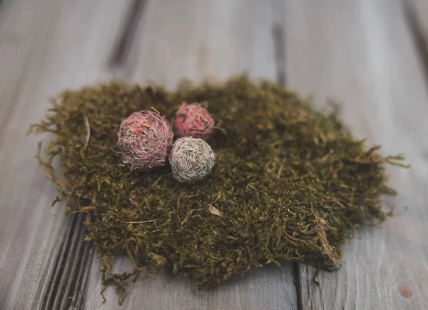 Påsk Naturlig Dekoration Mossa Torkade Blommor — Stockfoto